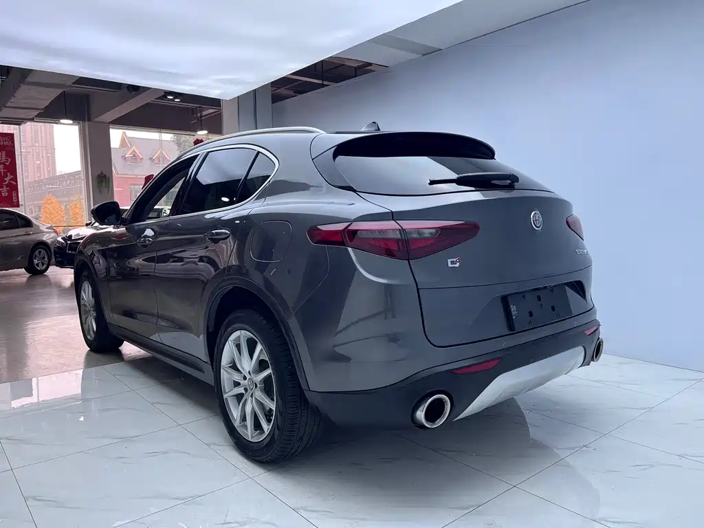 Alfa Romeo Stelvio 2019 — фото 5