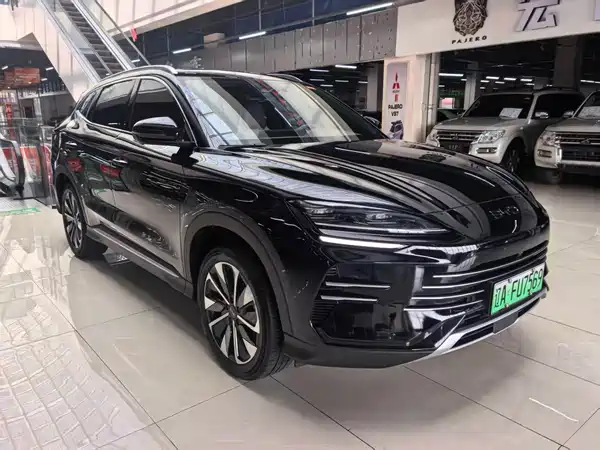 BYD Song PLUS New Energy 2024