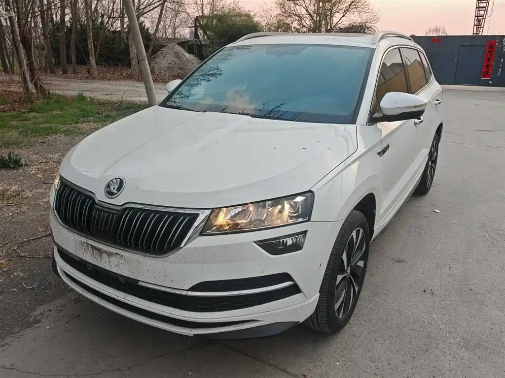 Skoda Karoq 2024 — фото 1