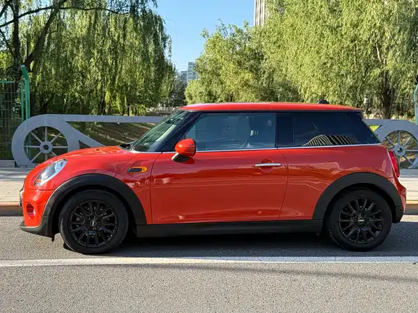 MINI MINI 2019