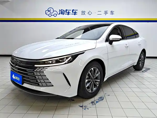BYD Destroyer 05 2024