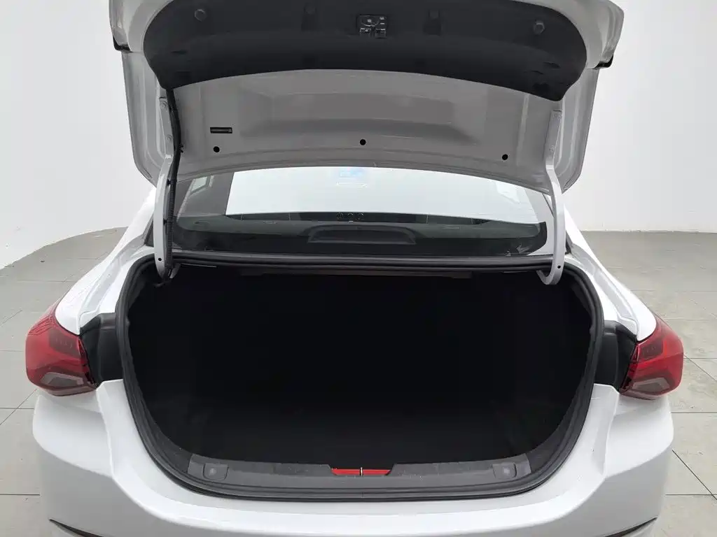Chevrolet Cavalier 2020 — фото 16