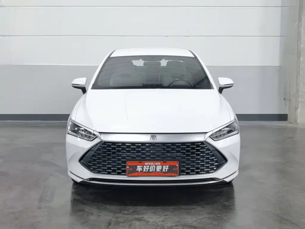 BYD Qin PLUS 2023 — фото 3