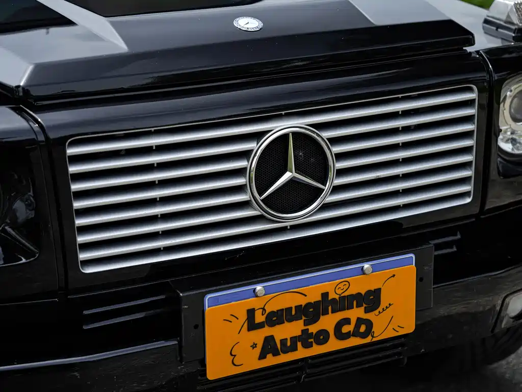 Mercedes-Benz G-Class AMG 2009 — фото 4