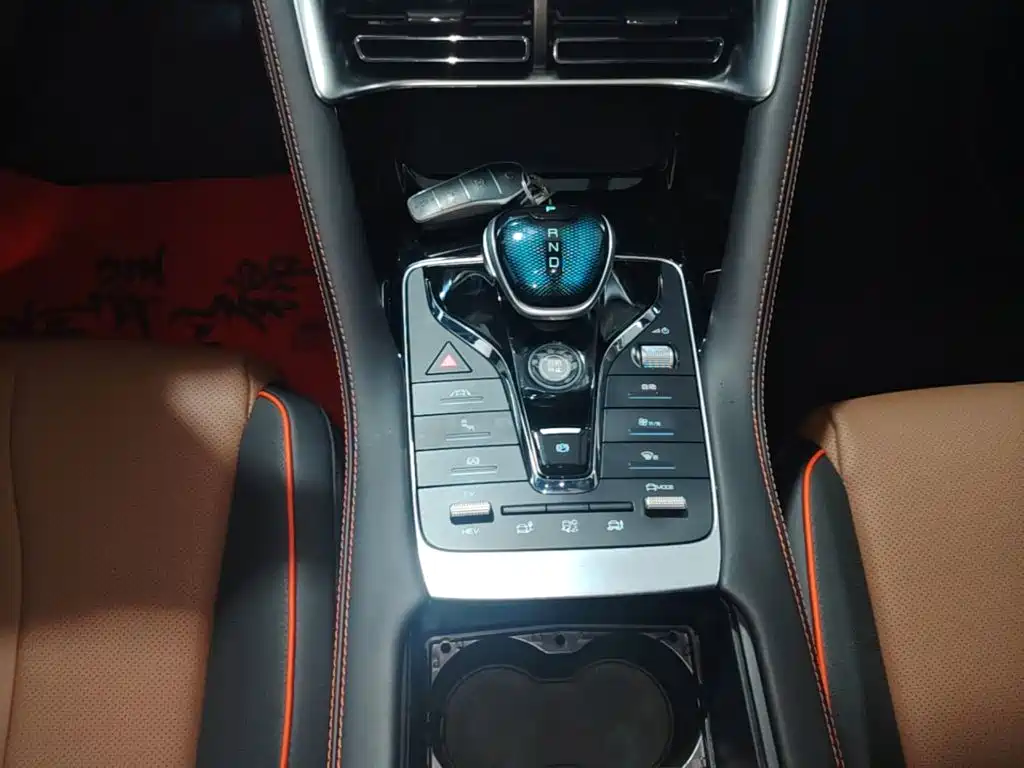 BYD Song PLUS New Energy 2022 — фото 14