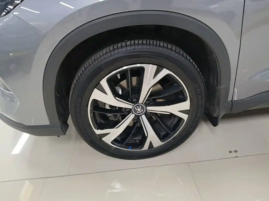BYD Song Pro New Energy 2024 — фото 23