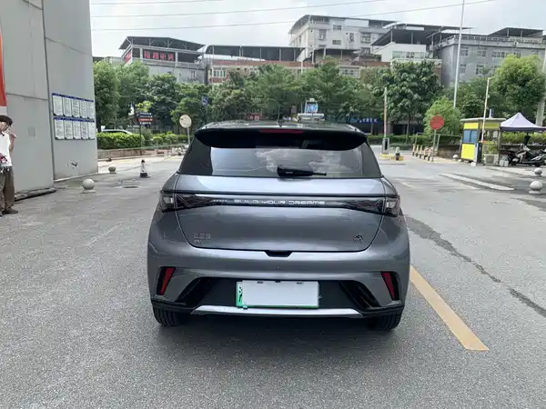 BYD Dolphin 2024