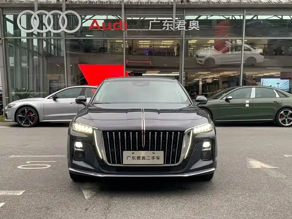 Hongqi H5 2024