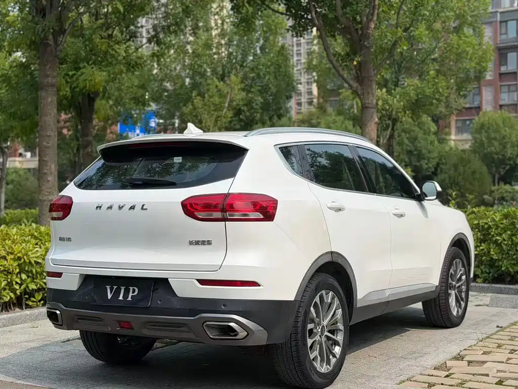 Haval H6 2020 — фото 10