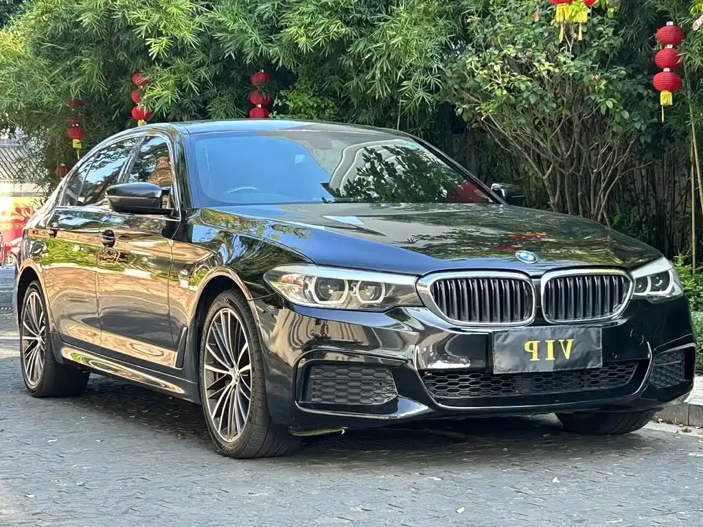 BMW 5 Series 2019