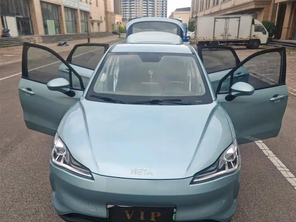 Neta V 2021