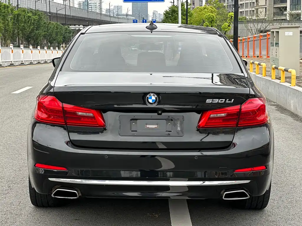 BMW 5 Series 2019 — фото 13