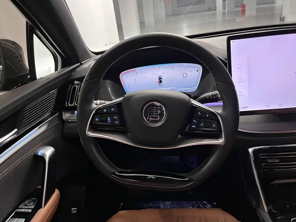 BYD Tang New Energy 2023 — фото 16