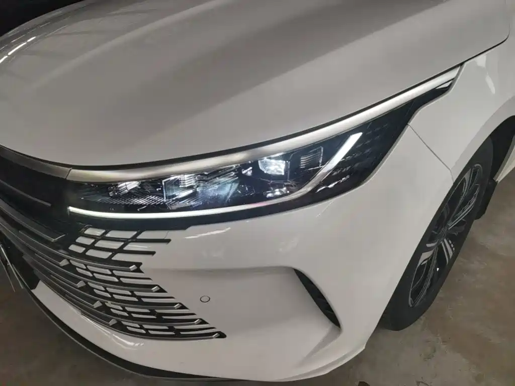 BYD Destroyer 05 2023 — фото 24