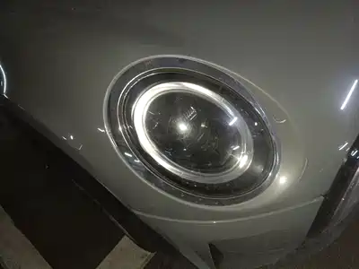 MINI MINI 2022