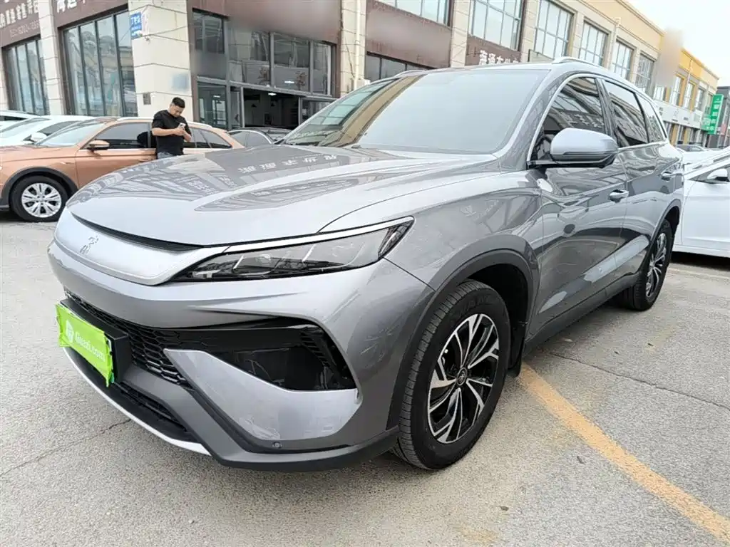 BYD Pro New Energy 2024 — фото 2
