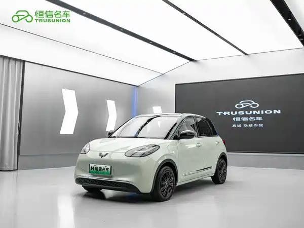 Wuling Bingo 2024
