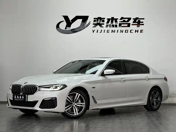 BMW 5 Series New Energy 2022