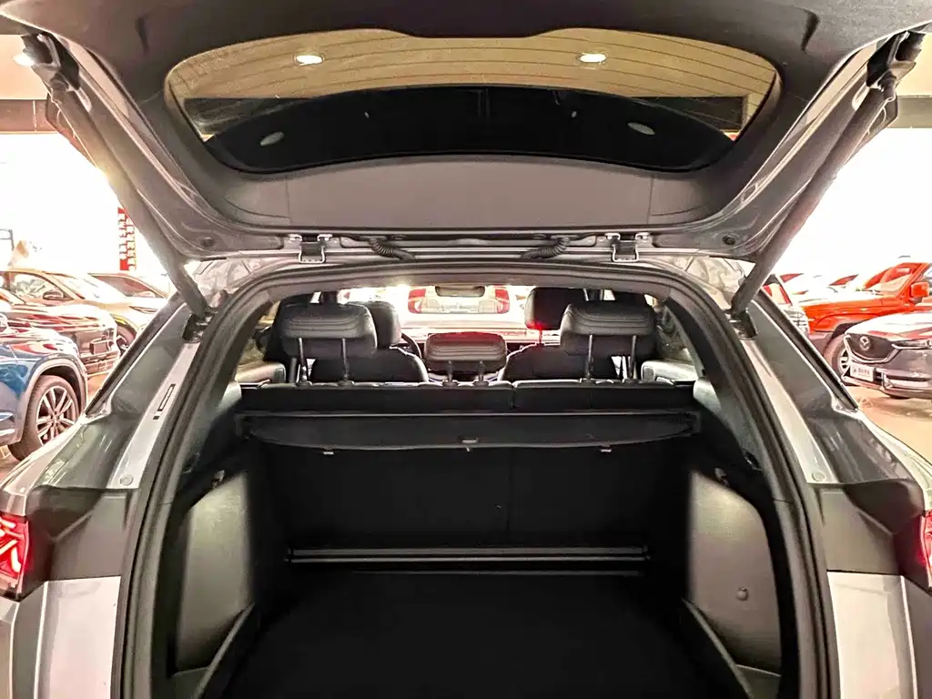 BYD Song L DM-i 2025 — фото 15