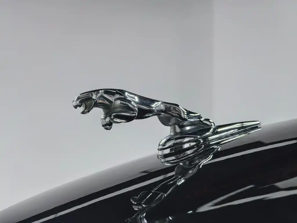 Jaguar XJ 2009 — фото 9