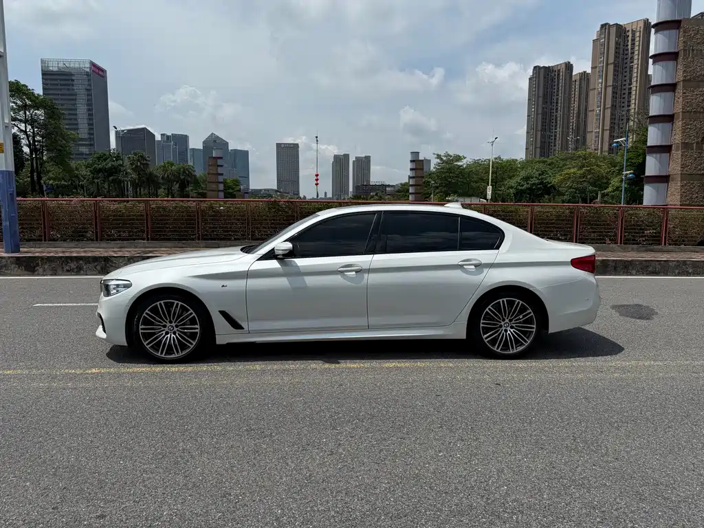 BMW 5 Series 2019 — фото 19