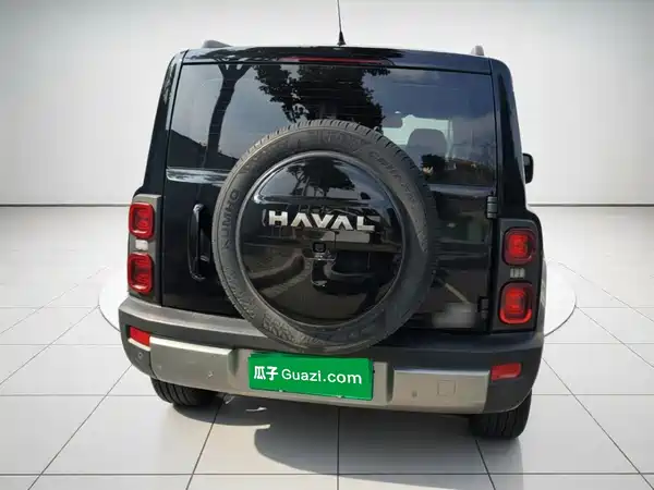 Haval Raptors New Energy 2025