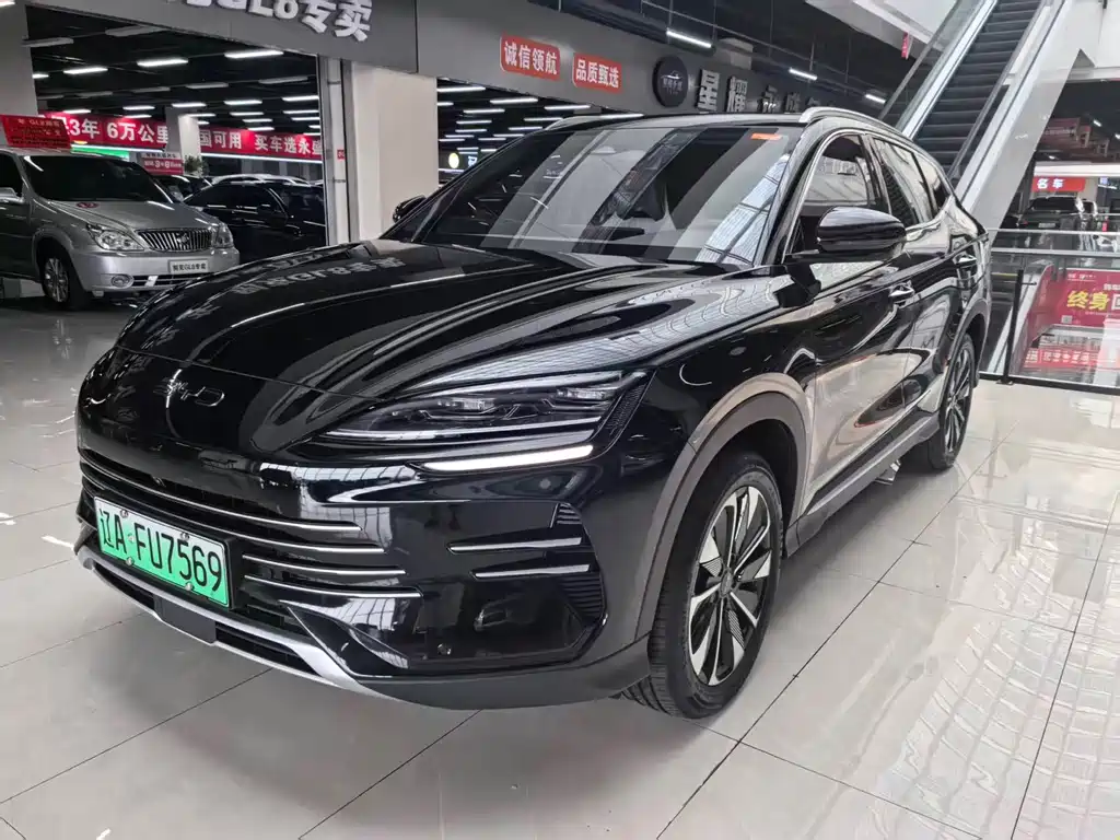 BYD Song PLUS New Energy 2024 — фото 1