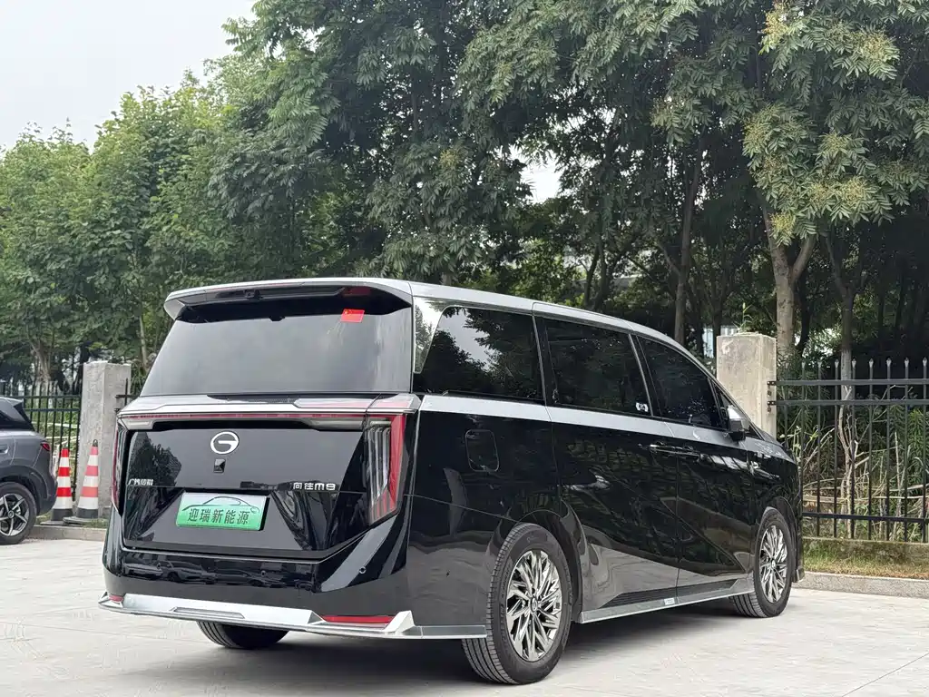 GAC Motor Xiangwang M8 2025 — фото 6
