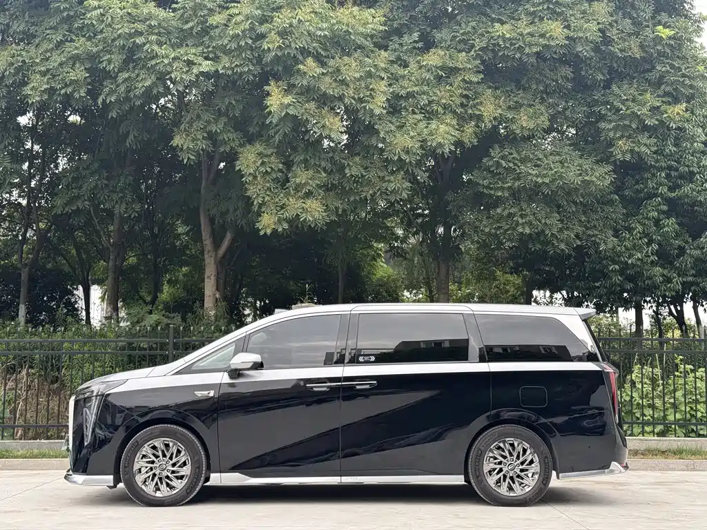 GAC Motor Xiangwang M8 2025 — фото 5