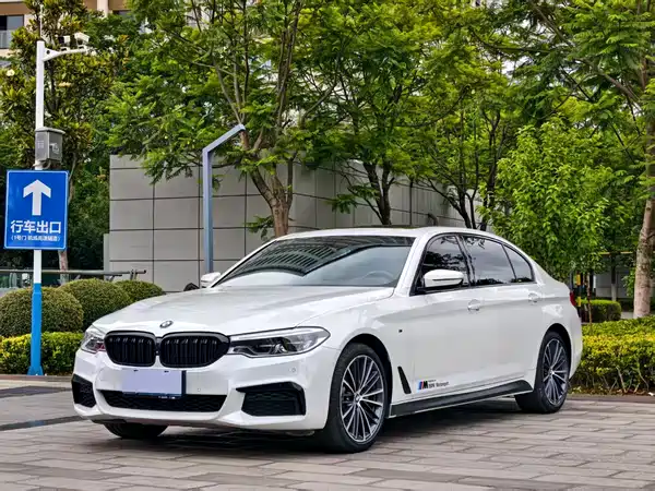 BMW 5 Series 2020