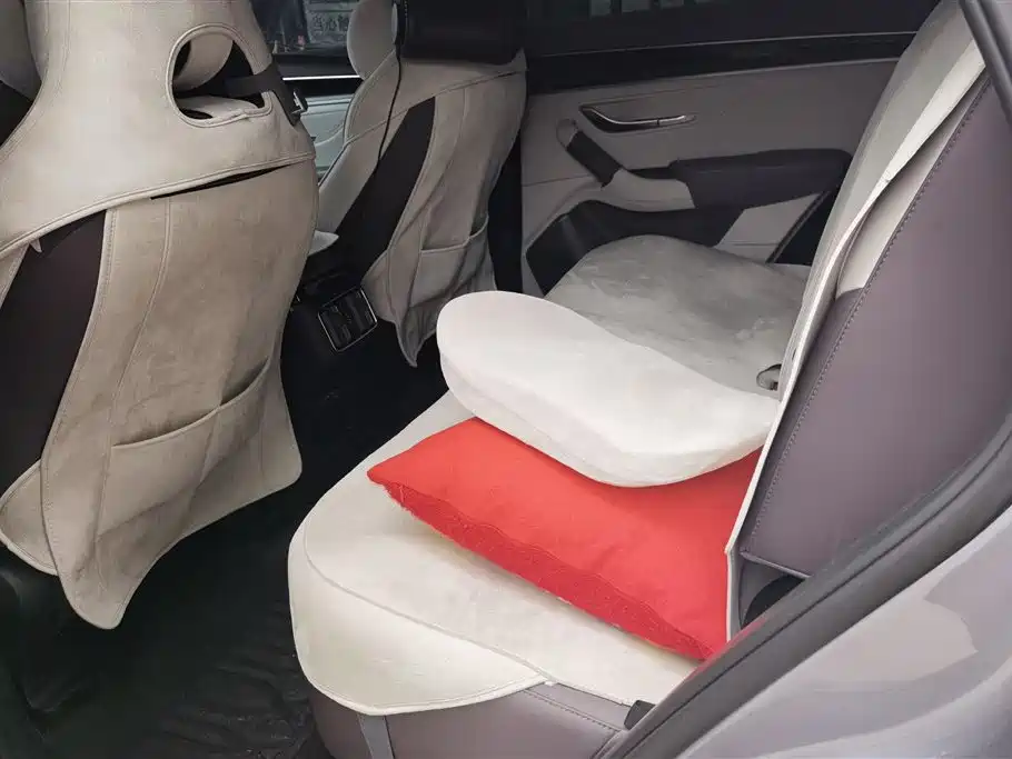 BYD PLUS New Energy 2025 — фото 11