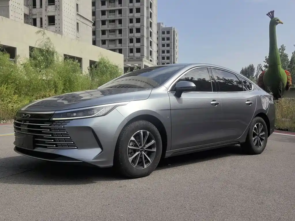 BYD Destroyer 05 2024 — фото 1