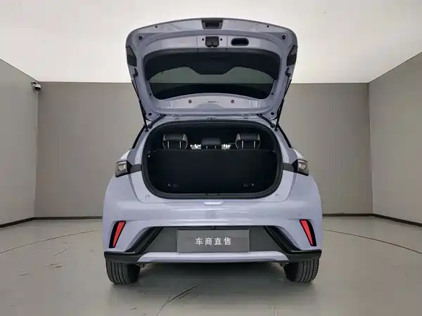 BYD Dolphin 2024