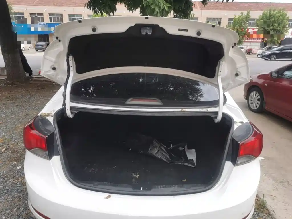 Hyundai Elantra Langdong 2017 — фото 19