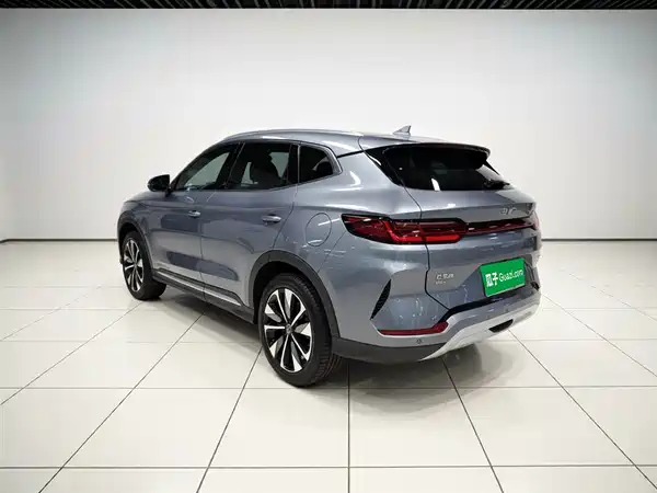 BYD Song PLUS New Energy 2025