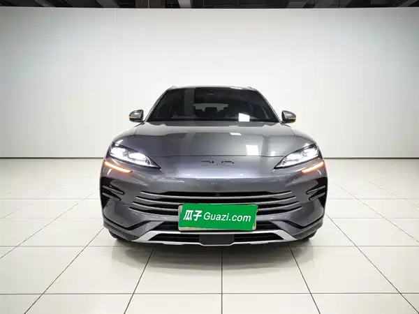 BYD Song PLUS New Energy 2025