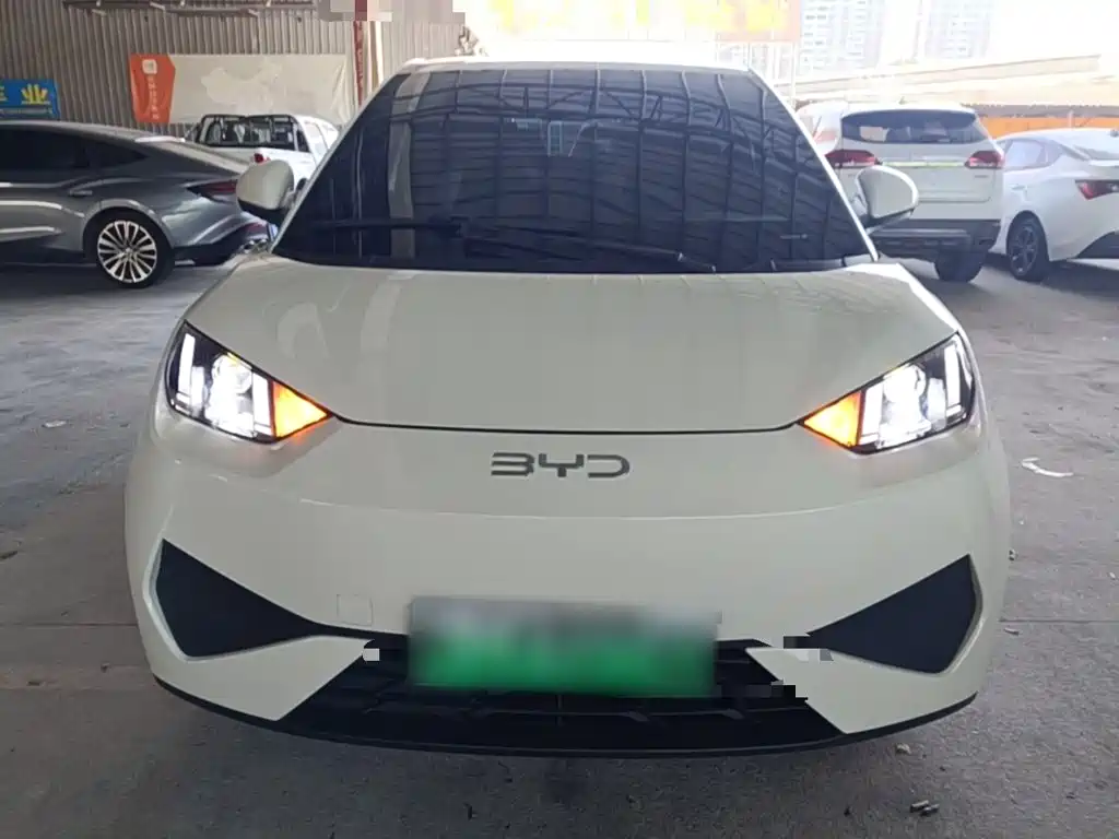 BYD Seagull 2026