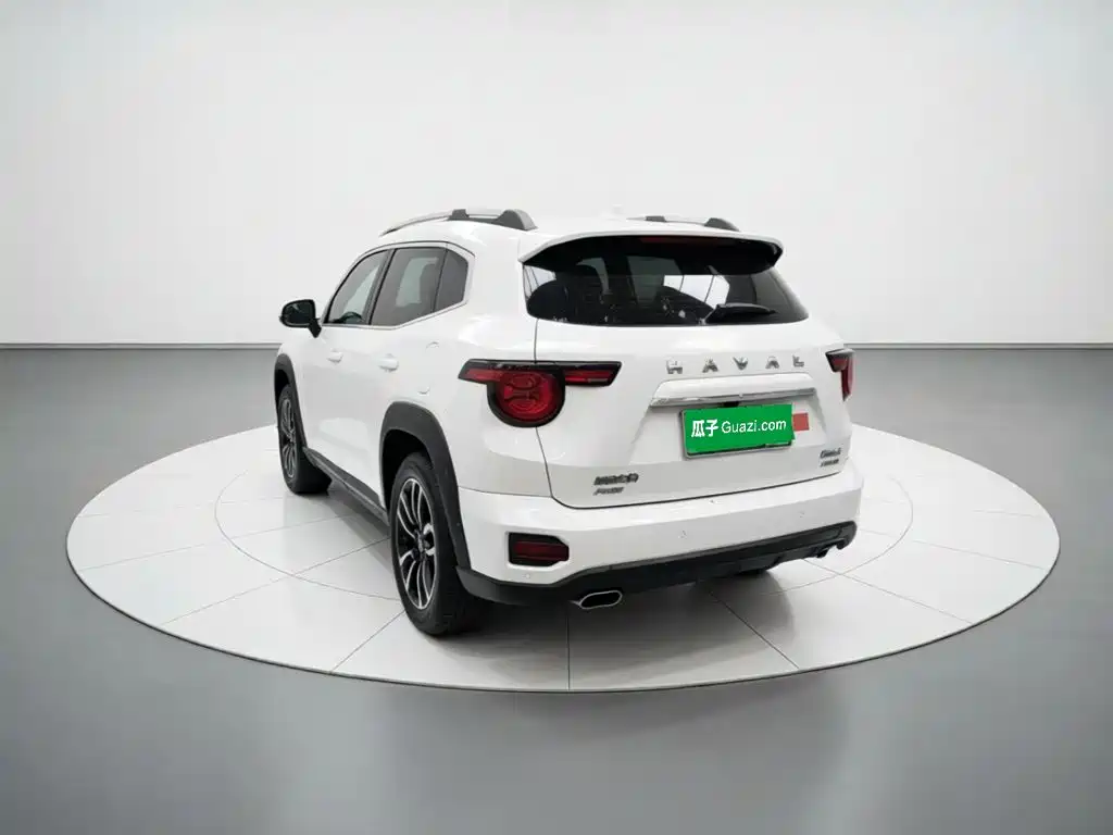 Haval Big Dog PLUS New Energy 2024 — фото 4