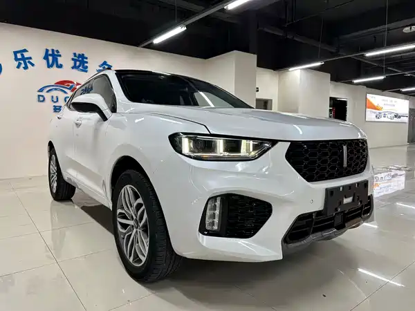Wey VV5 2017