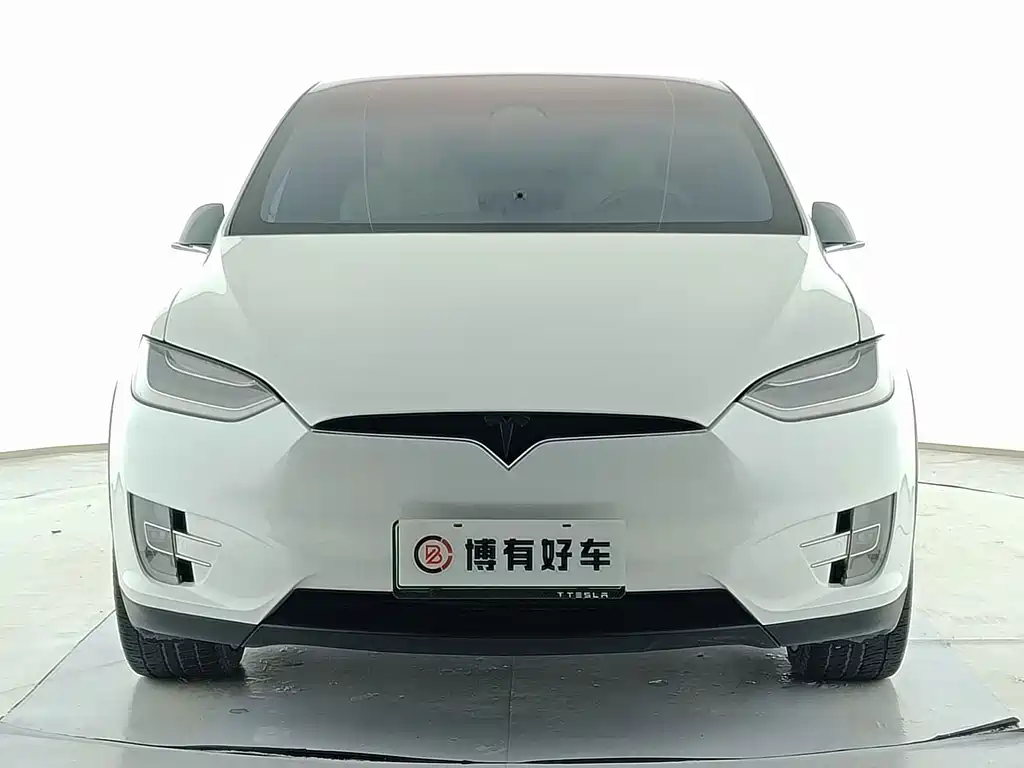 Tesla Model X 2020 — фото 2