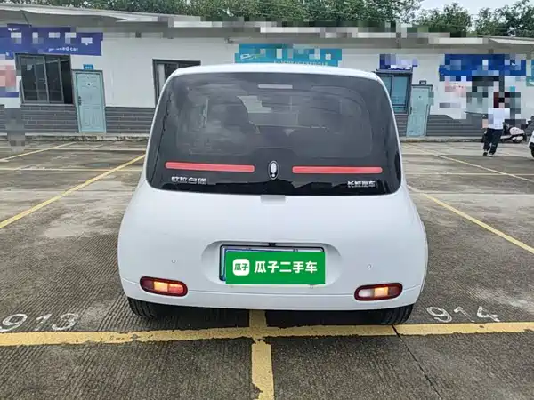 Ora White Cat 2021
