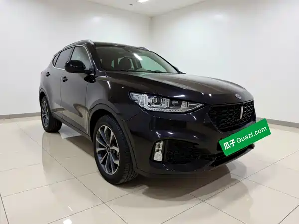 Wey VV6 2019