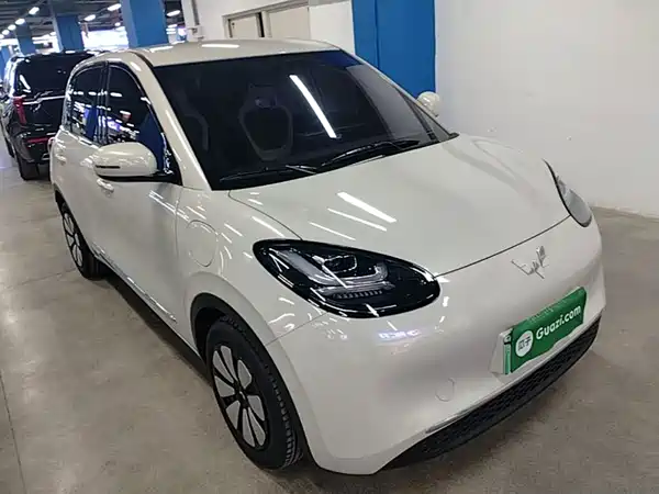 Wuling Bingo 2024