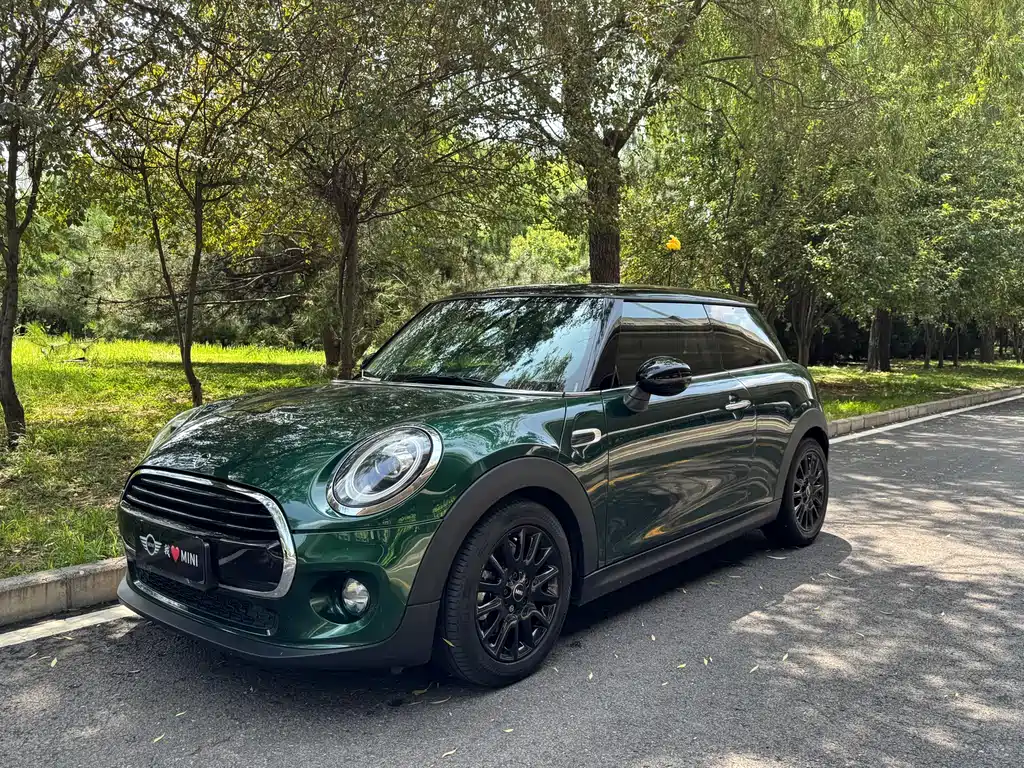 MINI MINI 2019