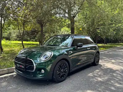 MINI MINI 2019