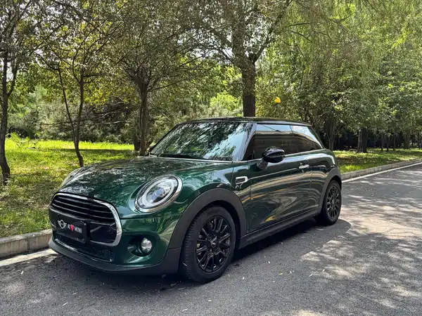 MINI 2019