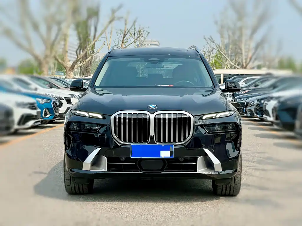 BMW X7 2023 — фото 2