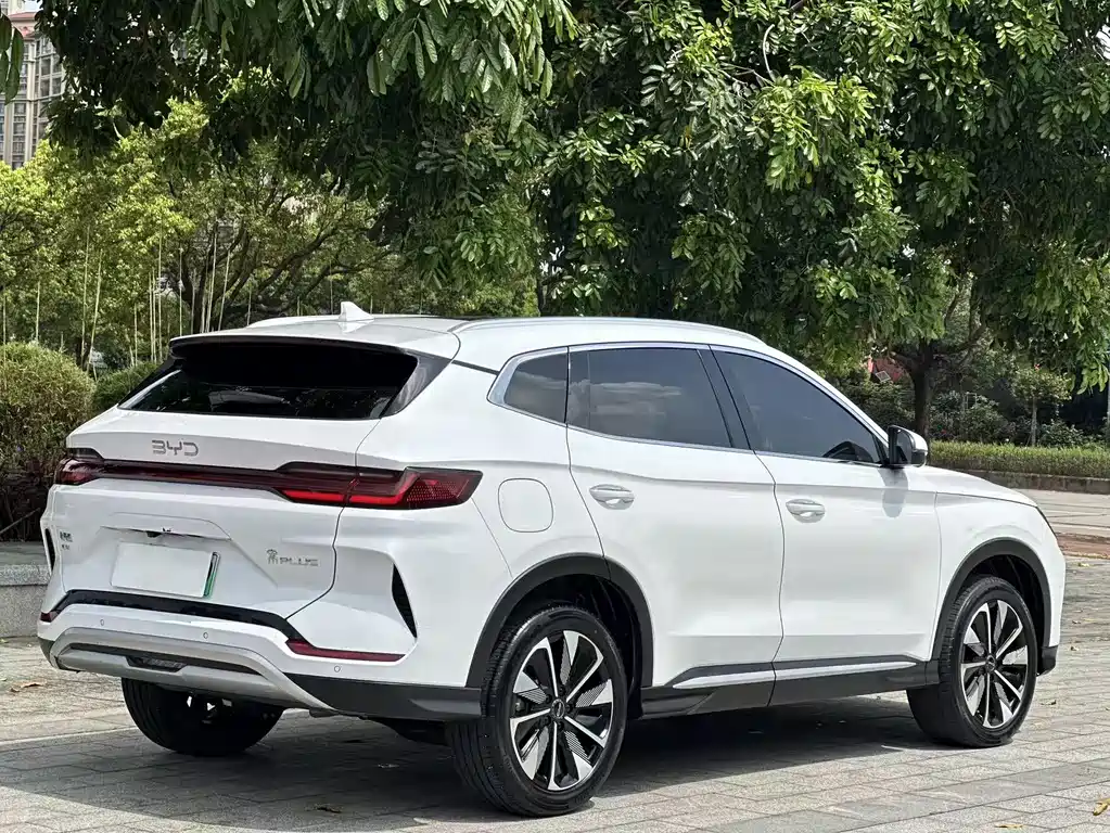 BYD PLUS New Energy 2024 — фото 9