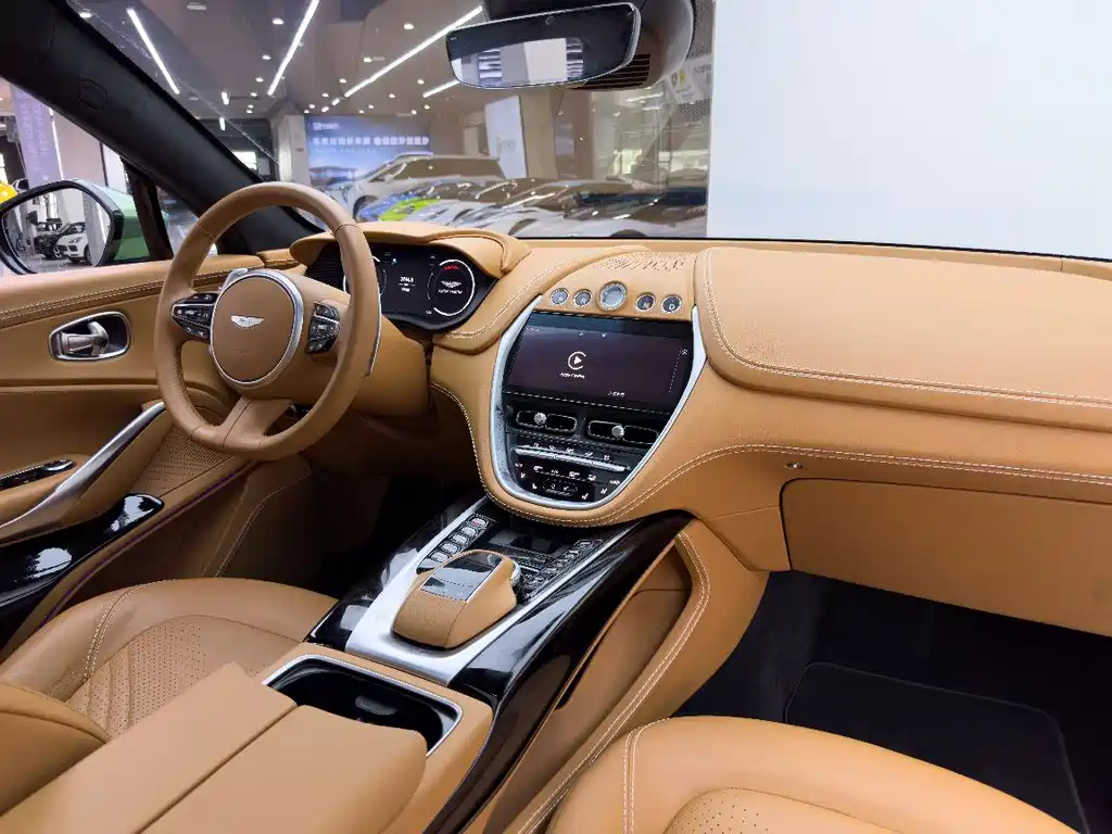 Aston Martin DBX 2023 — фото 15
