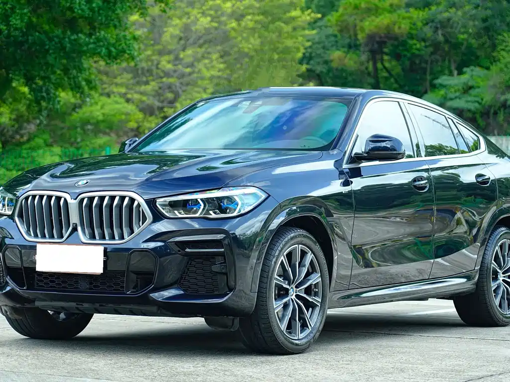 BMW X6 2022